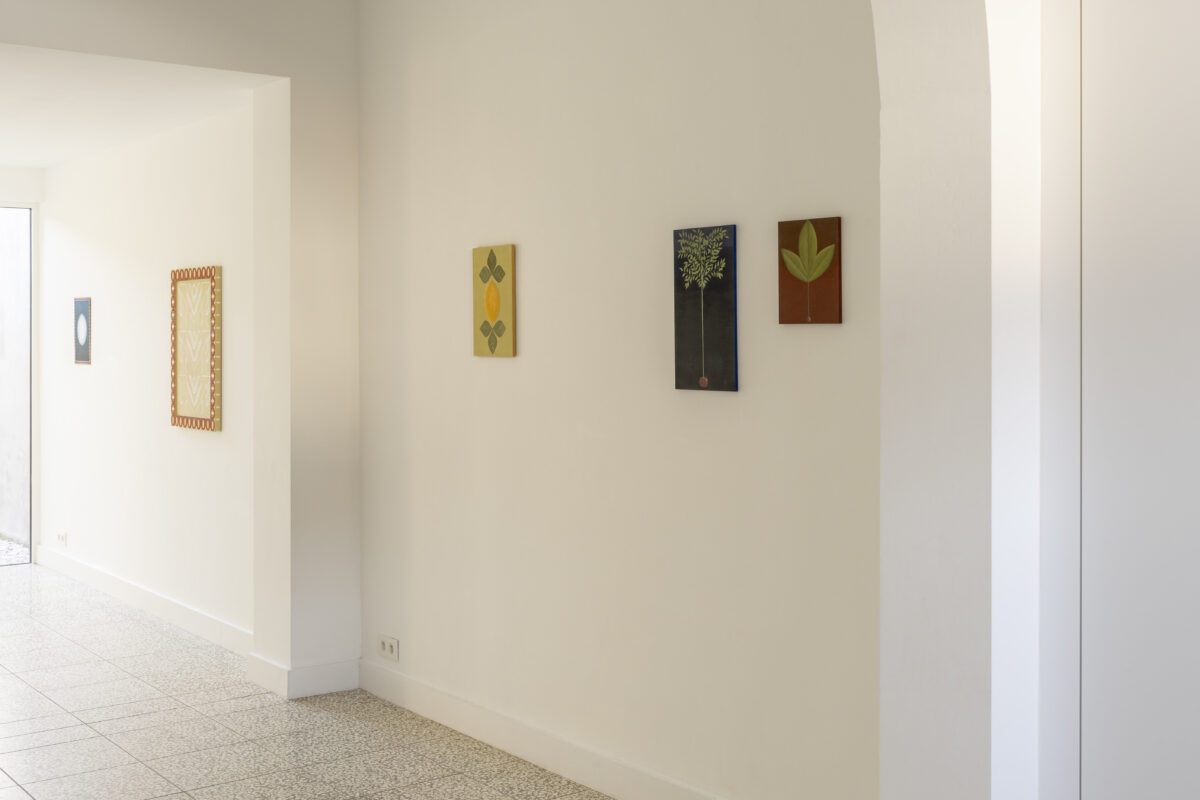 2024 08 28 RUFUS UNBONARBRE 114