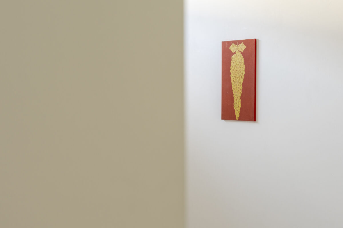 2024 08 28 RUFUS UNBONARBRE 118