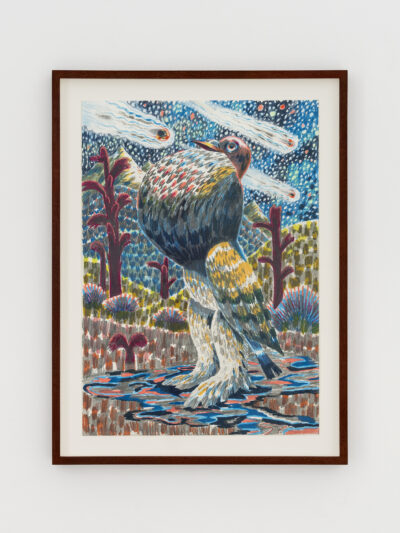 2025 05 15 RUFUS POSTWHAT 11 HR