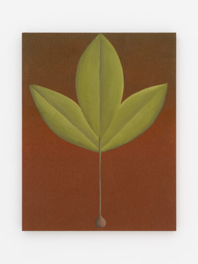 W2024 07 08 RUFUS NAAM 8