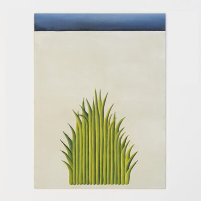 W2024 08 28 RUFUS UNBONARBRE 47