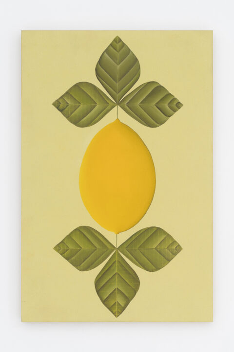 W2024 07 08 RUFUS NAAM 13