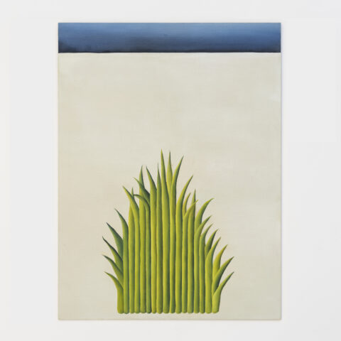 W2024 08 28 RUFUS UNBONARBRE 47