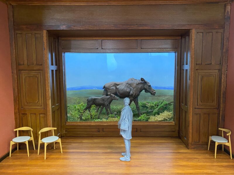 20d60436 b5df 419e b321 95aeb2905419