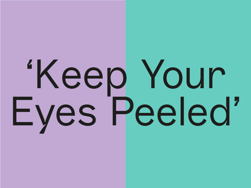 Rufus Gallery website opening